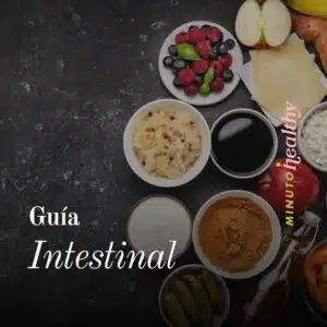 Guía Intestinal MH