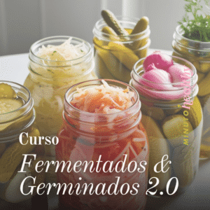 Curso de Fermentados y Germinados 2.O